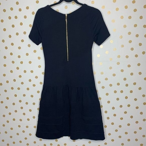 eliza J Black Seamed Drop Waist Short Sleeve Dress - Picture 6 of 6